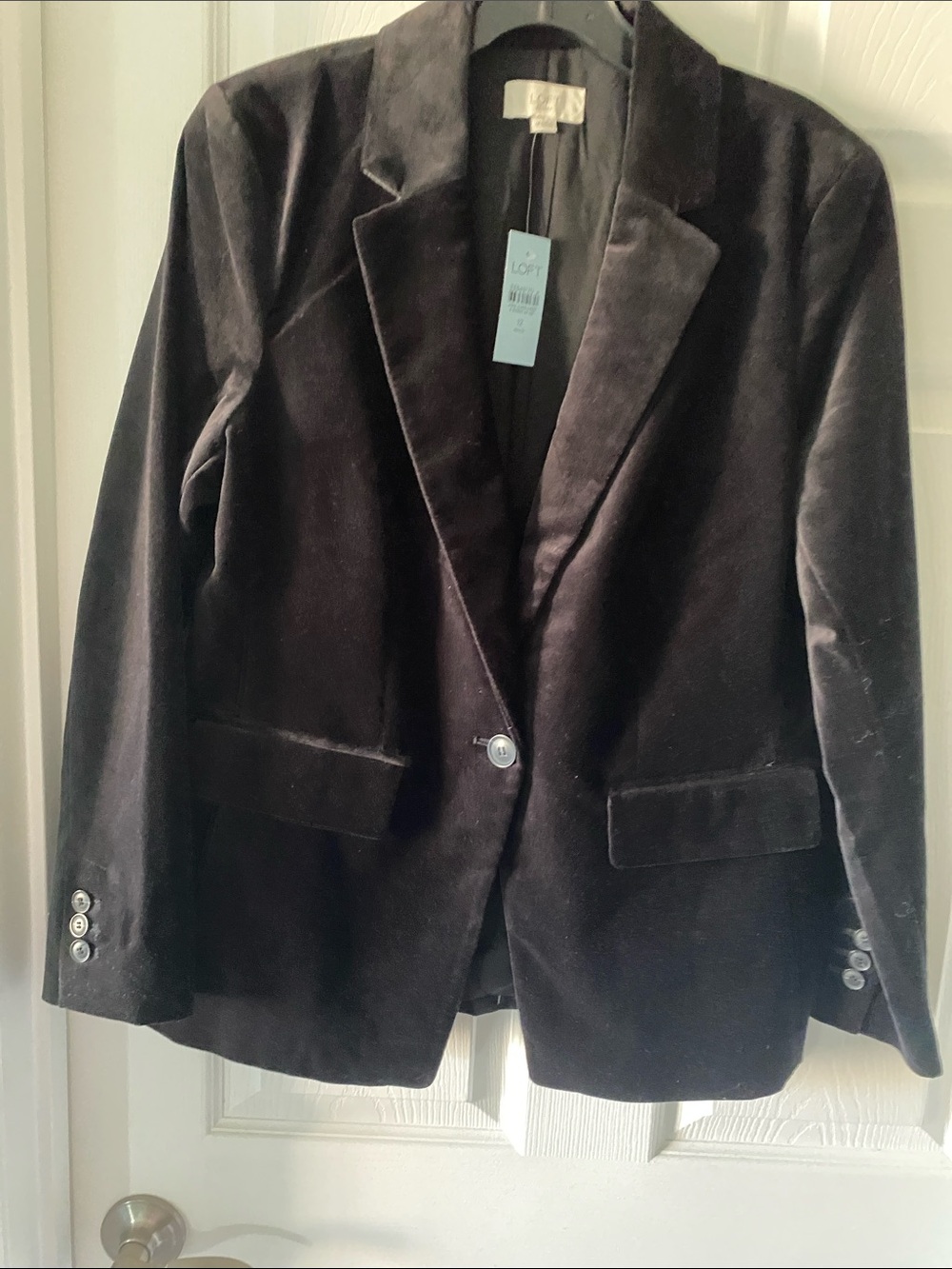 LOFT Black Velvet Single-Button Blazer with Notch Lapel
